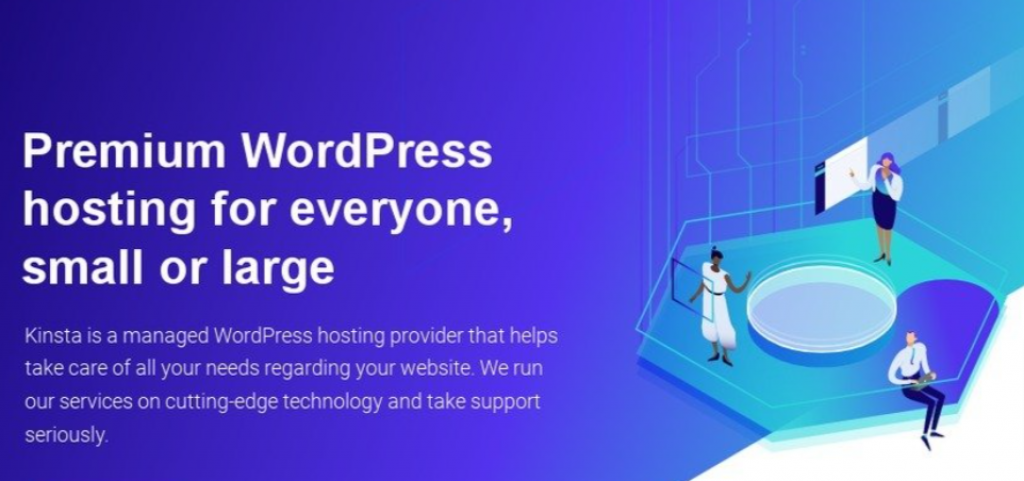 image 13 kinsta features